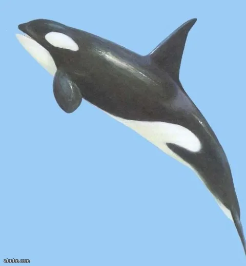 2000