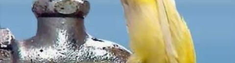 افتحا بسيط و اشرب عشان ما تدفق الموية 26 2006