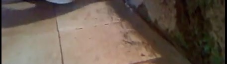 قصة هروب قتلة الدبلوماسي الأمريكي من سجن في السودان 26 2768