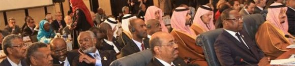 البشير يقود وفد السودان في القمة الإسلامية بالقاهرة 2013م 10 2940