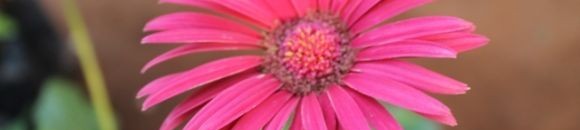 مهم جدا إنو ما نلوم نفسنا على واقع نحنا ما اخترناه 11 3152