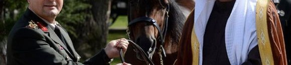 الجيش التركي يتسلم فرسين هدية من السعودية - مارس 2013م 26 3225