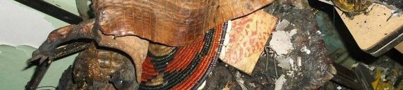 بالصور .. حريق بدار السودان بقلب القاهرة 26 3680