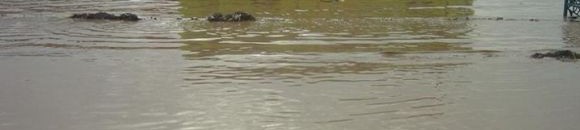 الخرطوم السبت 10/اغسطس/2013 كاميرا العيسابي 26 3811