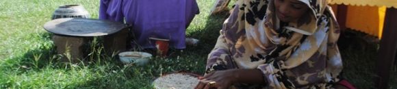 المرحاكة- تراث- مهرجان الشباب السوداني الخرطوم 2013/9/15 10 3893