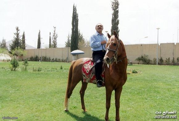 «القتل» يطارد رؤساء اليمن منذ 40 عامًا: مصير واحد والطريقة مختلفة 1 427