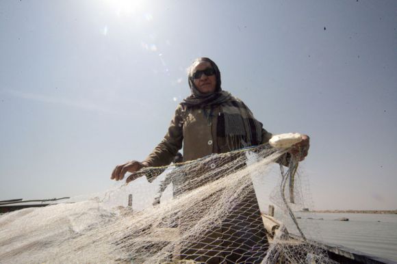 حملات تفتيش لشباك صيد الأسماك بالمسطح المائي من جودة حتى جبل أولياء 1 4453