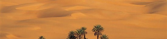 شاهد بالفيديو .. ماذا يوجد داخل غار حراء؟ 10 454