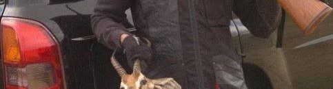 ابراهيم الميرغني في رحلة صيد وقنص الغزلان في ربوع السودان 10 4720