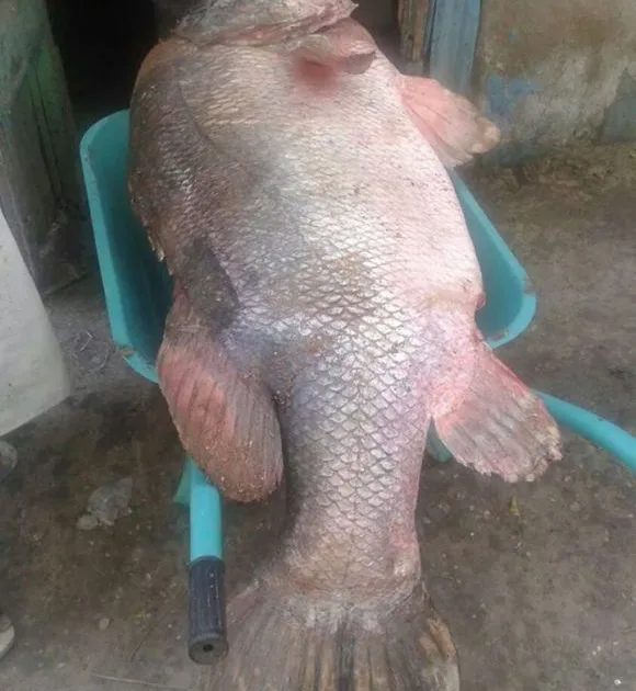 5032