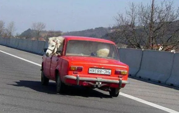 512