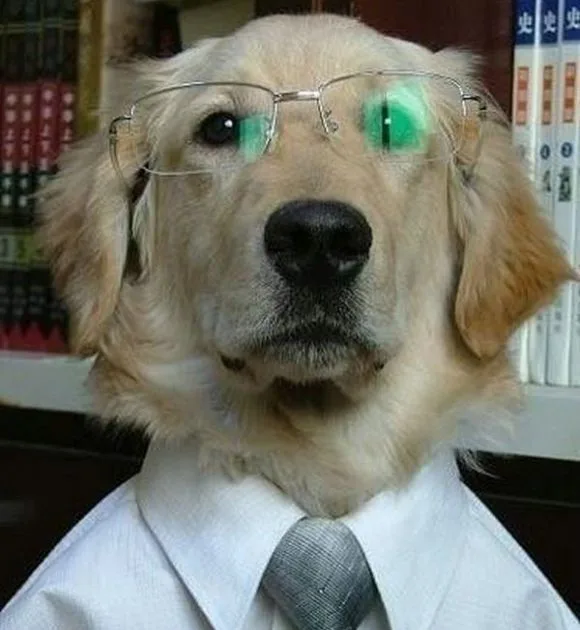 517