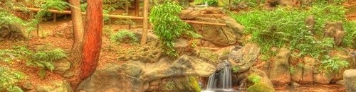 أجمل الحدائق اليابانية وأكثرها تنظيماً طوكيو 26 527