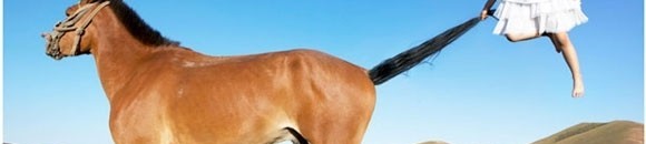 بالفيديو.. شاهد ماذا فعل حصان برجل بدين حاول ركوبه 10 614