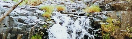 نفرة تعمير جبل مرة تبدأ بالملايين ومواطنون يتبرعون 10 708