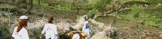 بدء إعمار المناطق المحررة بجبل مرة وإعادة فتح سوق “قولو” 10 716