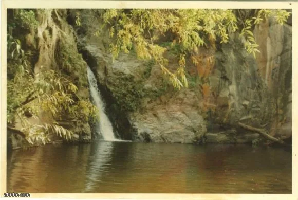 دارفور