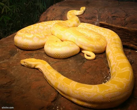 834