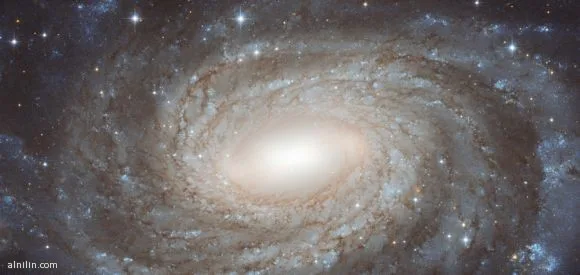 851