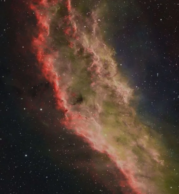 856