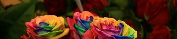 منظر الورود التي ازدادت تفتّحًا أثناء الليل ! 10 869