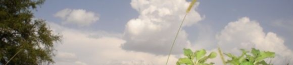 ما سبب تسمية شهر رجب بهذا الاسم؟ 10 878