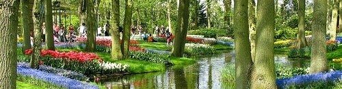 حدائق كوكينهوف هولندا 10 943