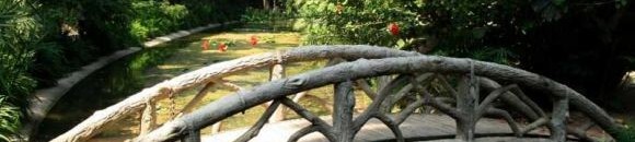 بالفيديو.. شباب يقدمون على تصرف جنوني في حديقة أطفال 10 945