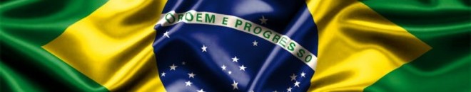 غابات الأمازون في البرازيل تفقد خلال 40 عامًا أكثر من 49 مليون هكتار 11 176