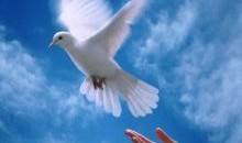 ما يطلبه "المُغتربون" لا "المُستمعون"!! 10 262